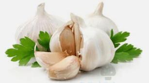 Mushroom garlic