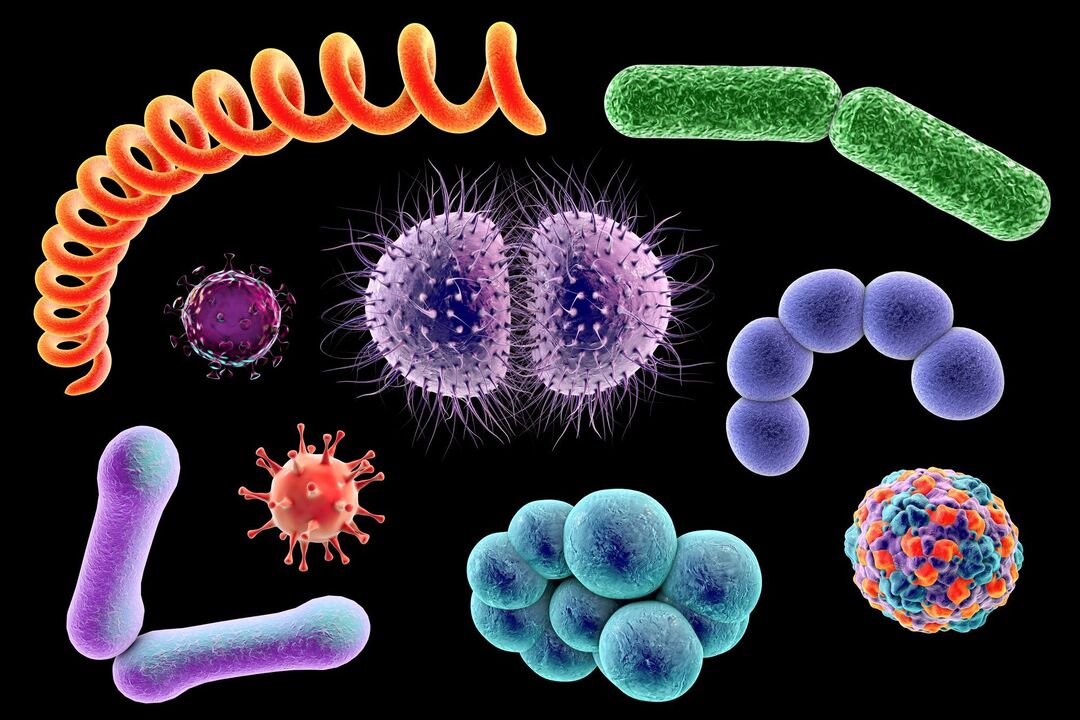 fungal disease pathogens